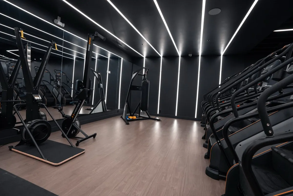 Fittopia cardio floor: rowing machines and bikes